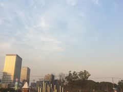 -爱丽丝冒险奇遇记