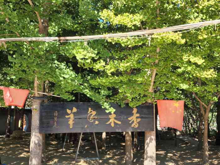 香木香羊(小汤山店)-"这里的烤全羊最好吃,特别好,赞!