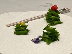 -丁老爷子苏香圆