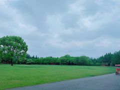 -上海滨江森林公园