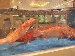 -双井轩(双井店)