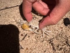 -西涌国际滨海旅游区