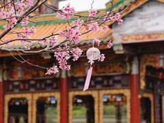 -宝墨园景区