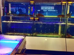 水产区-马路牙子地桌烤肉(工体店)