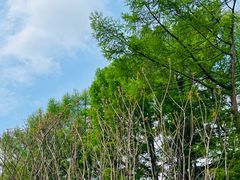 -长春公园(普阳街道)