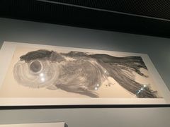 -江苏省美术馆(长江路新馆)