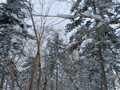 -雪谷