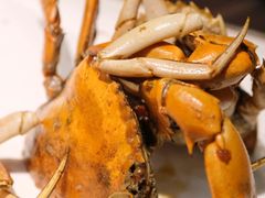 -鑫悦楼煎蟹·16年海鲜大排档