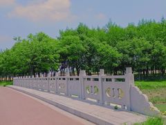 -江苏三台山国家森林公园