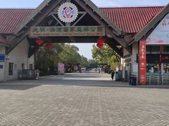 -上海海湾国家森林公园