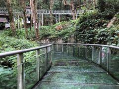 -富春桃源风景区