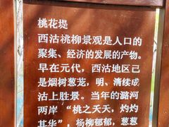-桃花堤公园