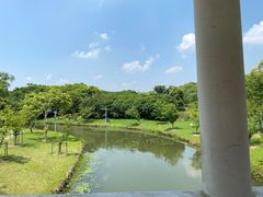 -东方绿舟景区