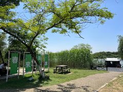 -沙家浜风景区