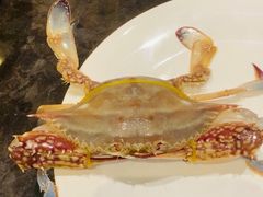 -川骄海鲜自助(亚运村店)