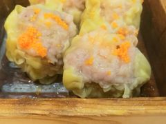 烧卖皇-乙龍天