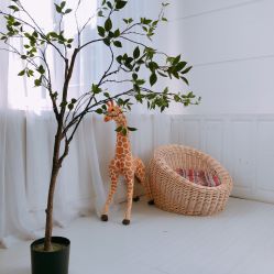 -花开映像儿童摄影