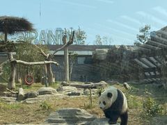 -武汉动物园