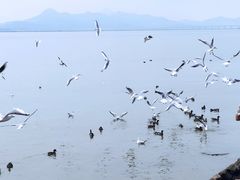 -深圳湾公园(南山区)