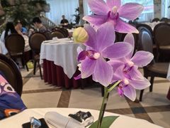 -金河半岛园林酒家(金融城店)