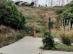 -黄龙溪古镇