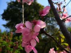 -桃花涧