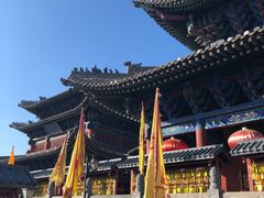 -大槐树寻根祭祖园