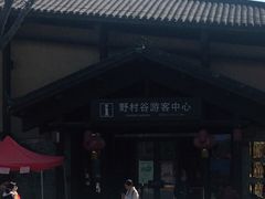 -黄陂区野村谷景区
