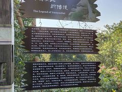 -西双版纳基诺山寨