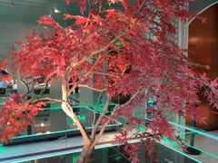 -一麦·龙岛(上海青浦店)