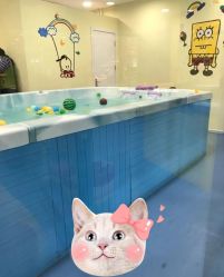 -蓝色海林婴幼儿水育馆(新辰里学清路店)
