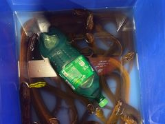 -状元甲·湖北甲鱼大王(汉口火车站店)