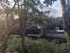 -秋霞圃