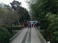 -荆川公园
