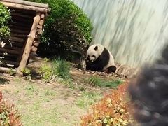 -青岛动物园