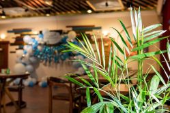 -派对猴生日派对策划(浦东店)