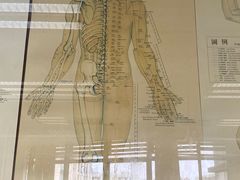 -广州中医药大学第一附属医院(总院)