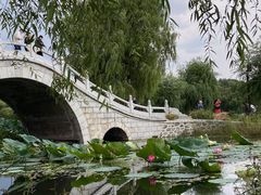 -长春市南湖公园