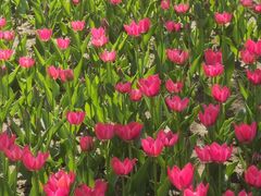 -长春公园(普阳街道)