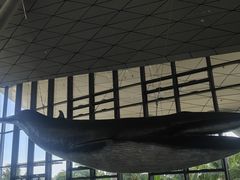 -中国（海南）南海博物馆