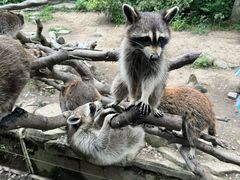 -宁波野生动物园