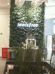 -悦诗风吟innisfree