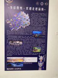 -程氏苗堂苗技养生