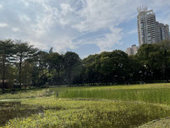 -东山湖公园