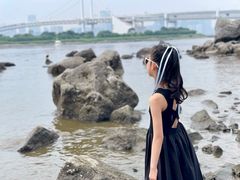 -台场海滨公园船码头