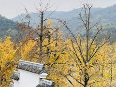 -长兴八都岕景区