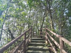 -缙云山景区