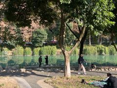 -沙河三洞古桥公园