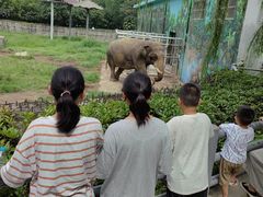 -西安秦岭野生动物园