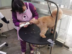 -暖阳宠物医院·犬猫康复中心·骨科